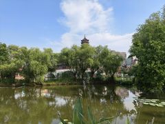 -长兴太湖图影湿地文化园