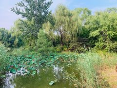 -左陕右甘(亚运村店)