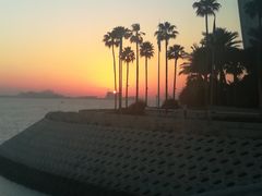 -迪拜帆船酒店海底餐厅