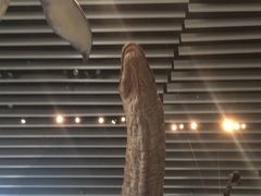 -自然博物馆新馆2楼餐厅