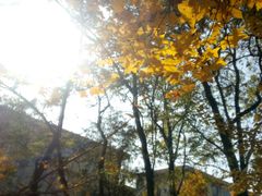 -山东农业大学(岱宗校区)
