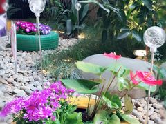 -宁波杉井奥特莱斯广场