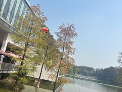 -鹿鸣酒家(越秀店)