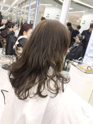 -潘多拉Hairsalon