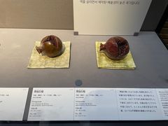 -东京国立博物馆