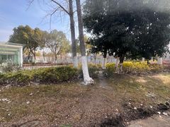 -映月湖中央公园