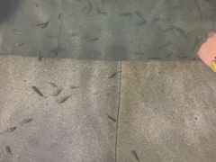 -咸宁万豪温泉谷度假区