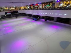 -TheRink大零溜冰场(IFS国金中心店)