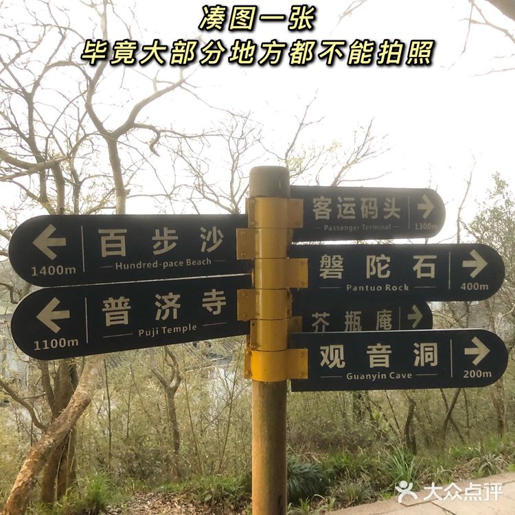想到了就去普陀山！周末2天1晚也可以很顺利很愉快