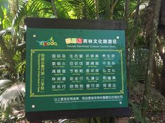 -呀诺达热带雨林