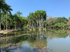 -中国科学院西双版纳热带植物园