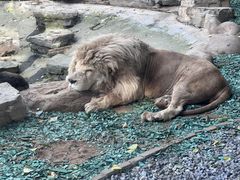 -北京野生动物园