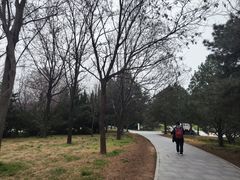 -秦始皇帝陵博物院-丽山园
