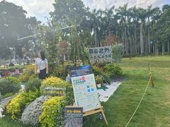 -南宁南湖公园