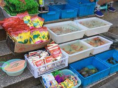 -本溪路花鸟市场(江浦路1709弄小区店)