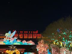 -淄博花灯齐彩城