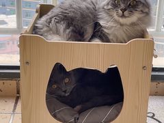 -瑞鹏宠物医院