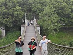 -铁山坪森林公园