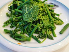 炝拌丝瓜尖-鸿宾楼(展览馆路店)