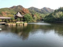 -黄陂区野村谷景区