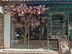 -喵屿·大理花园猫咖