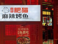 -南锣肥猫·麻辣烤鱼·16年现烤现卖(财富购物中心店)