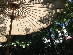 -Fern Forest Cafe