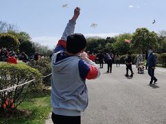 -南京市江宁方山