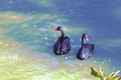 -虹桥迎宾馆·宴会厅