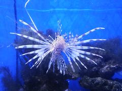 -多彩贵州城极地海洋世界