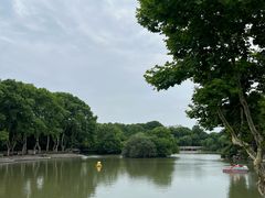 -红梅公园
