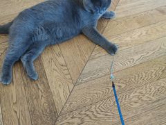 -Me Coffee下午茶艺术空间