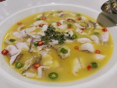 -青花椒花椒鱼(合生汇店)