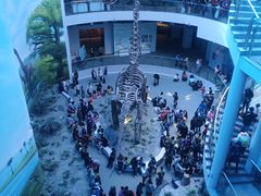 -辽宁古生物博物馆