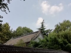 -百脉泉景区