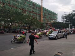 -三亚新鸿港水果一级批发市场