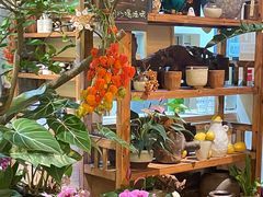 -花二家·生活馆(六运小区店)