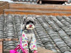 -巴倒烫陆派火锅山庄(南山总店)