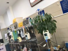 -申普宠物医院·眼科·心内科·影像科(普陀分院)