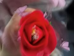 -华豫川酒家(大卫城店)