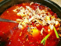 香辣锅-香坝坝鲜鱼火锅(春熙路店)