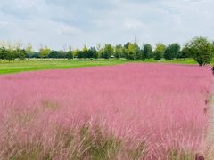 -汉长安城未央宫国家考古遗址公园