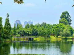 -眉山湿地公园(东坡区)