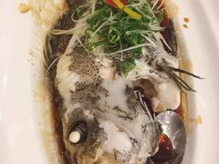 清蒸瓜子斑-名苑皇宫酒家(来魅力壁画村店)