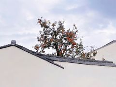 -北寺塔
