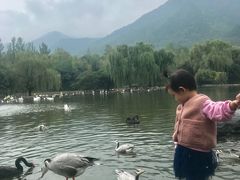 -西安秦岭野生动物园