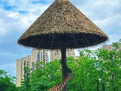 -南昌动物园