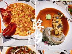 -甄御•海鲜新青岛菜(麦岛店)