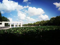 -长春世界雕塑园冰雪艺术天地