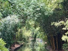 -望江楼公园